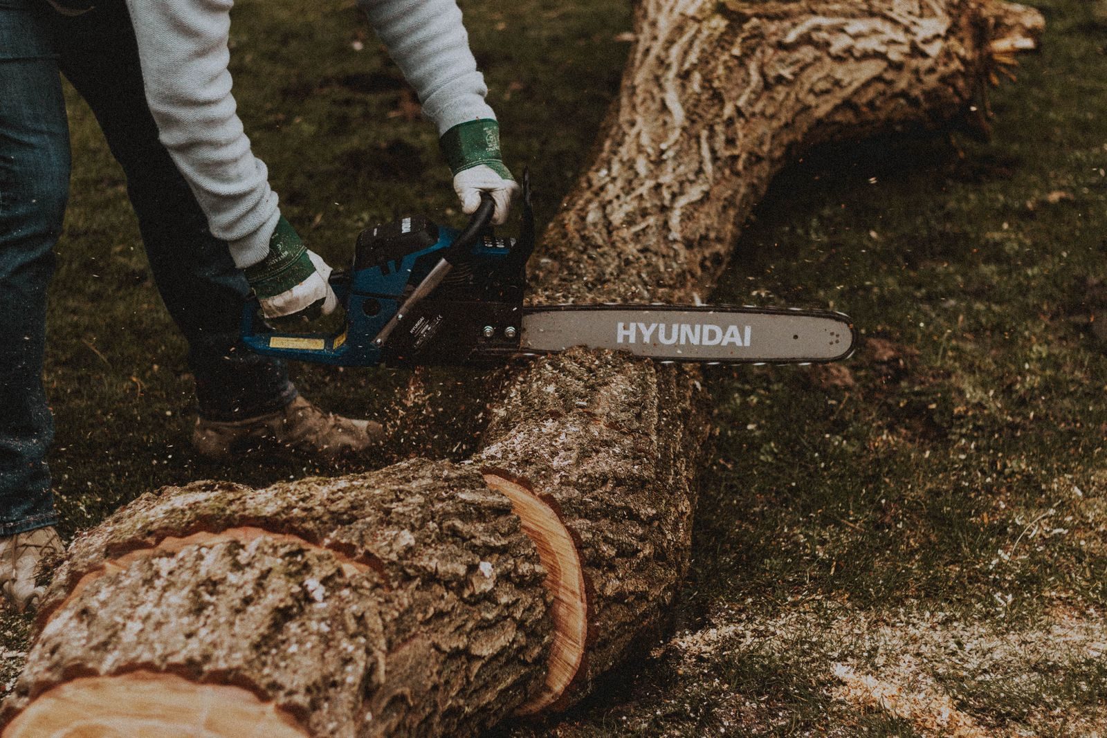 Felled tree being cut into logs during a Teesside tree removal